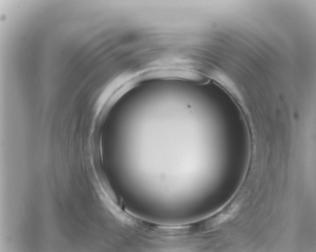 X0000060761344200511171138