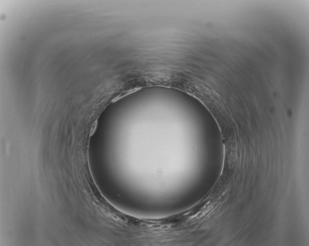 X0000060761345200511171137