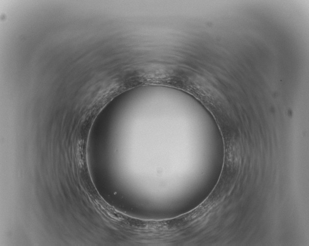 X0000060761346200511171137