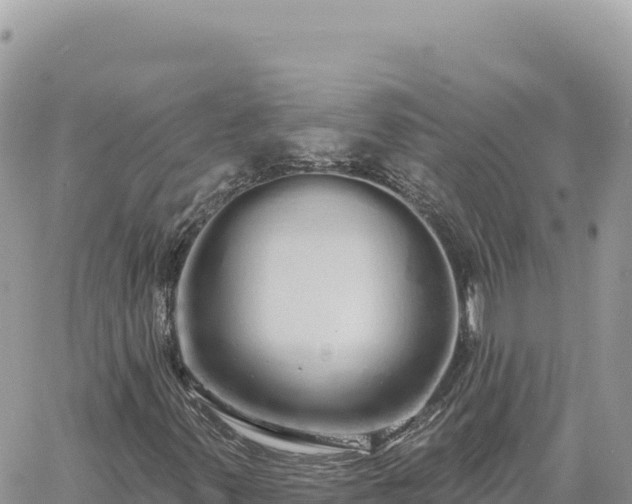 X0000060761347200511171137