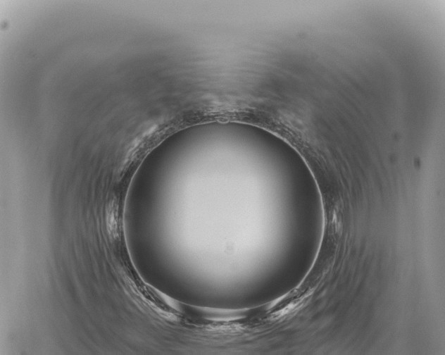 X0000060761348200511171137