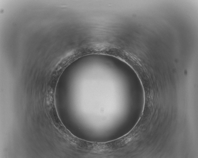 X0000060761349200511171137