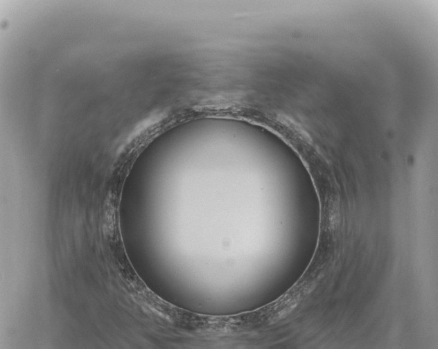 X0000060761350200511171137