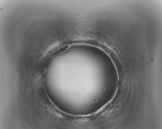 X0000060761351200511171137