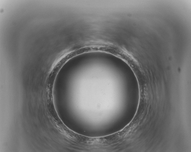 X0000060761352200511171137