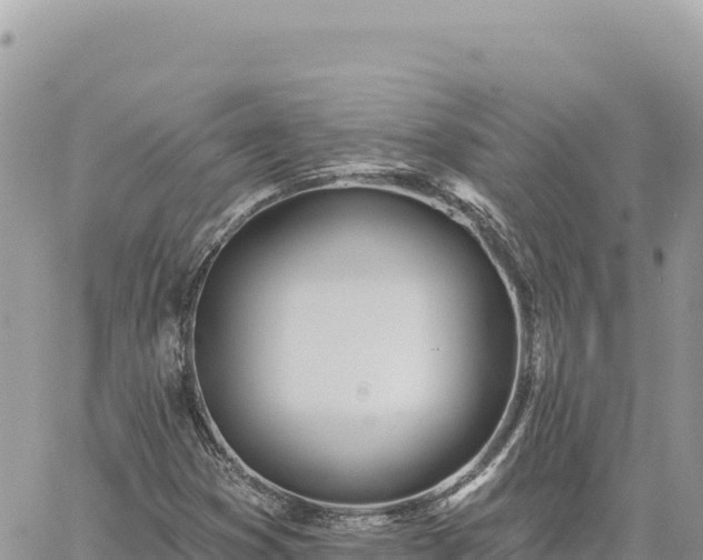 X0000060761353200511171137