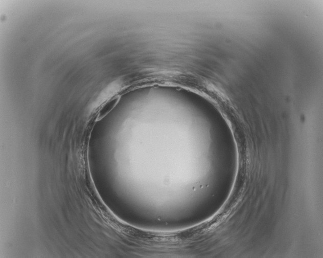 X0000060761354200511171137