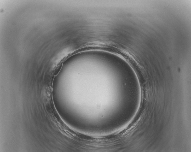 X0000060761355200511171137