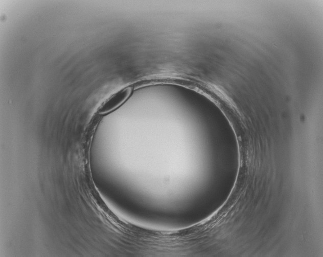 X0000060761356200511171137