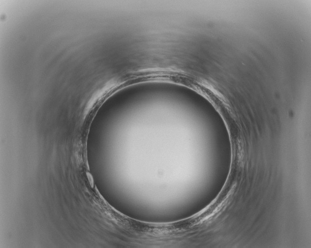 X0000060761357200511171137