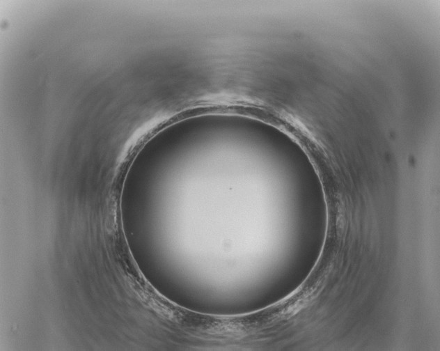 X0000060761358200511171137