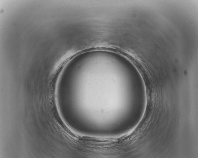 X0000060761359200511171137