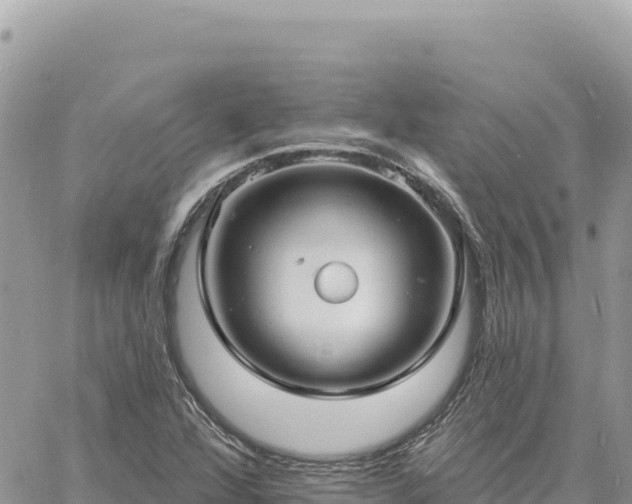 X0000060761360200511171137