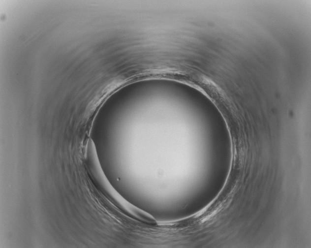 X0000060761361200511171137