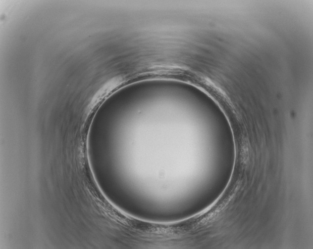 X0000060761362200511171137