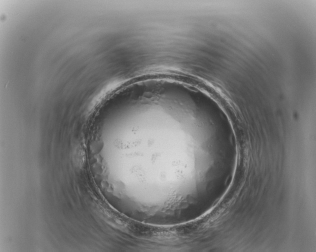 X0000060761363200511171137