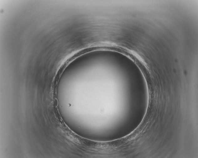 X0000060761364200511171137