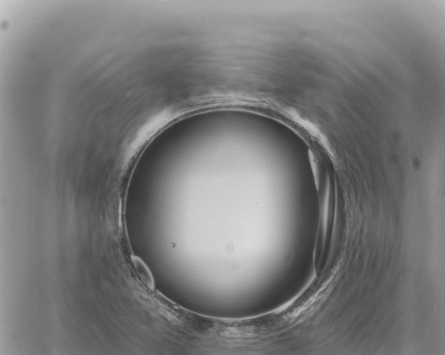 X0000060761365200511171137