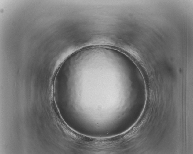 X0000060761366200511171137