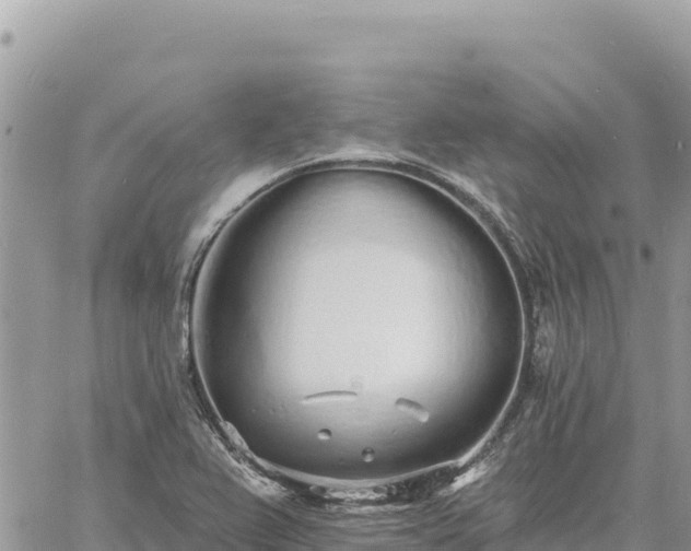 X0000060761367200511171137