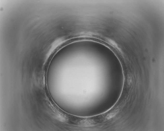 X0000060761368200511171137