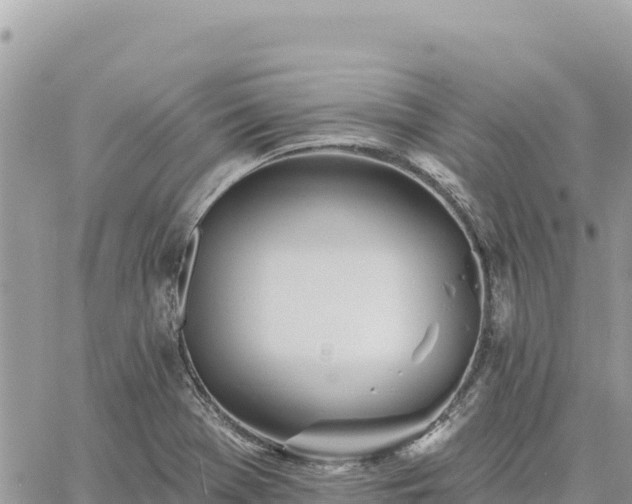 X0000060761369200511171137