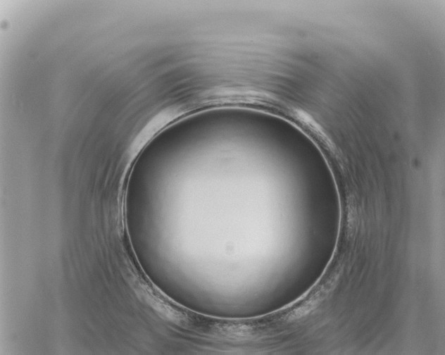 X0000060761370200511171137