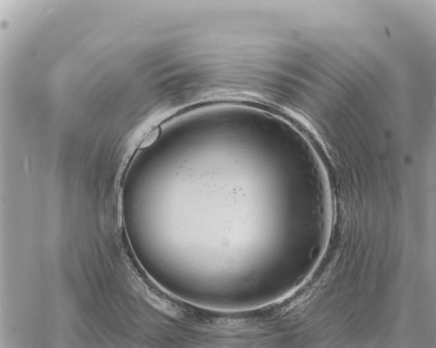 X0000060761371200511171137