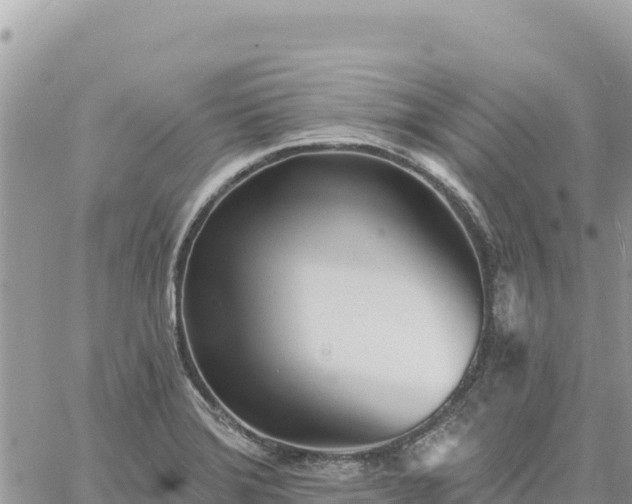 X0000060761372200511171137