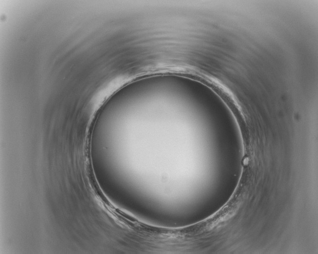 X0000060761373200511171137