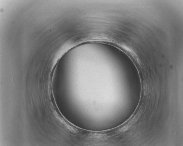 X0000060761374200511171137