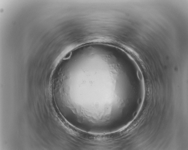 X0000060761375200511171137