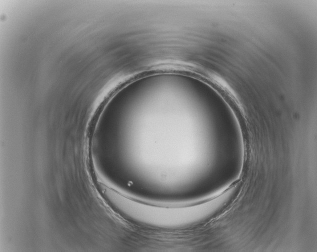 X0000060761376200511171137