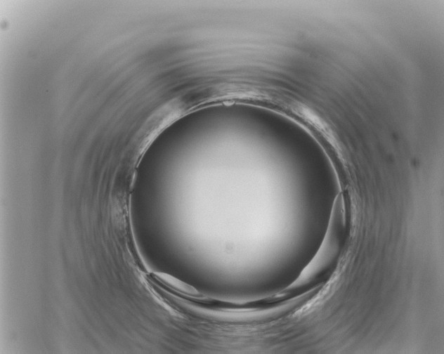 X0000060761377200511171137