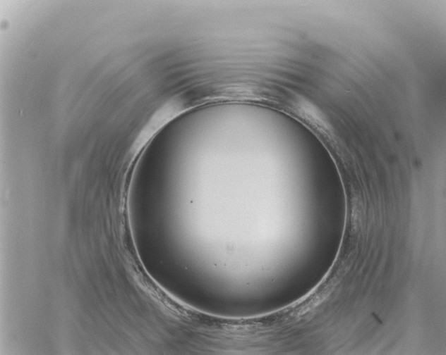 X0000060761378200511171137