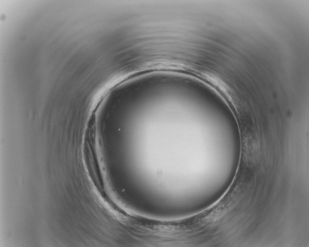 X0000060761379200511171137