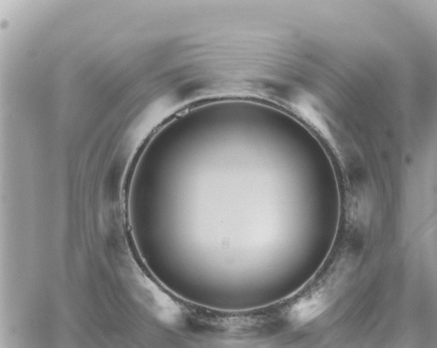 X0000060761380200511171137