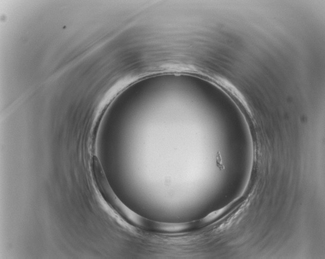 X0000060761381200511171137