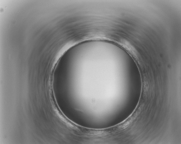 X0000060761382200511171137