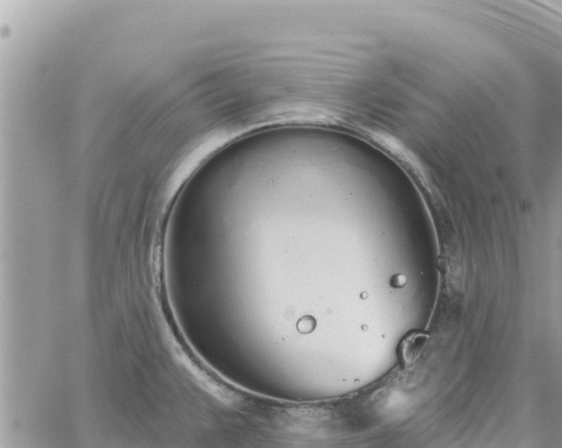 X0000060761383200511171137