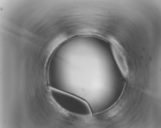 X0000060761384200511171137