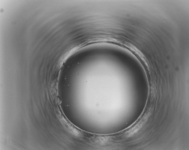 X0000060761385200511171137