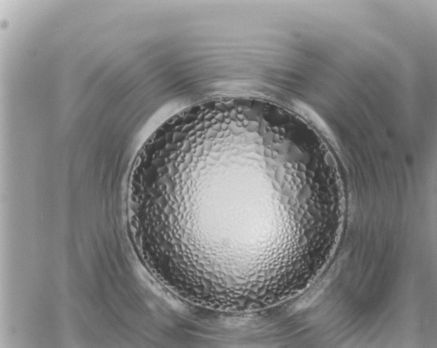 X0000060761386200511171137