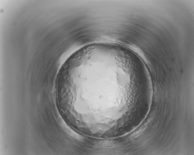 X0000060761387200511171137