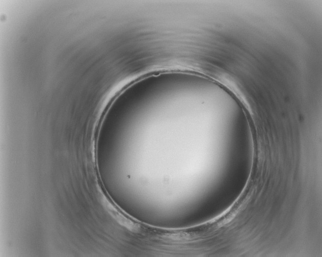 X0000060761388200511171137