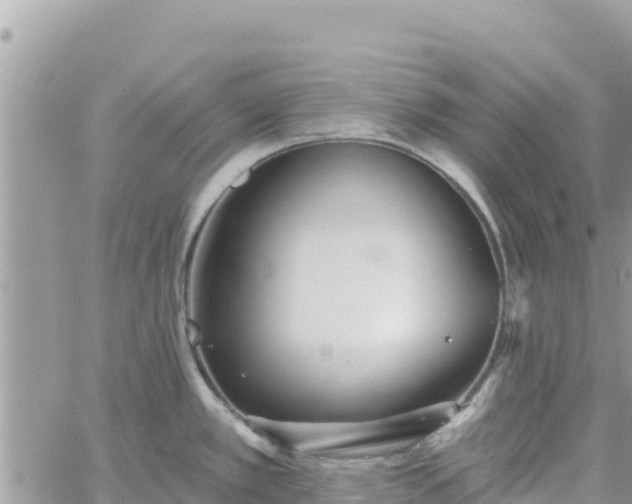 X0000060761389200511171137