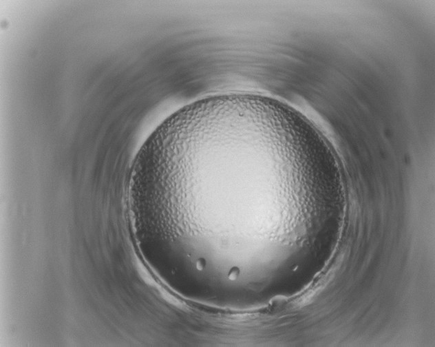 X0000060761390200511171137