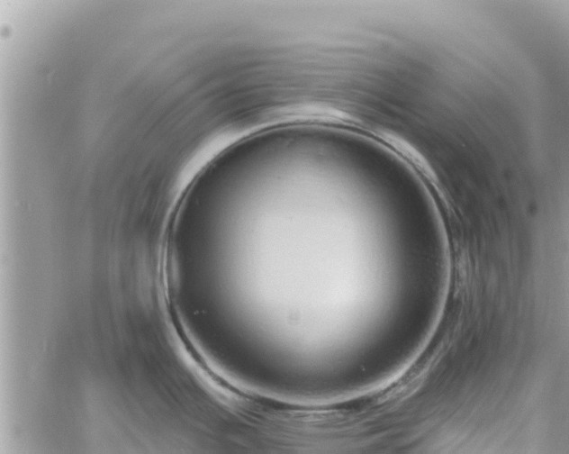 X0000060761391200511171137