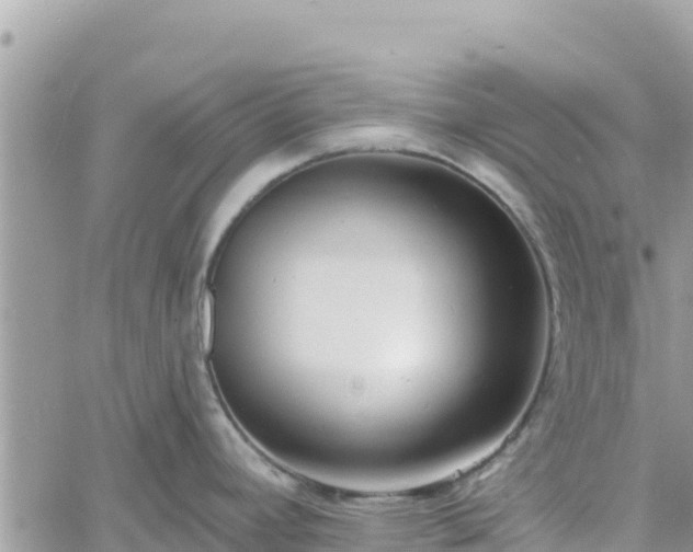 X0000060761392200511171137