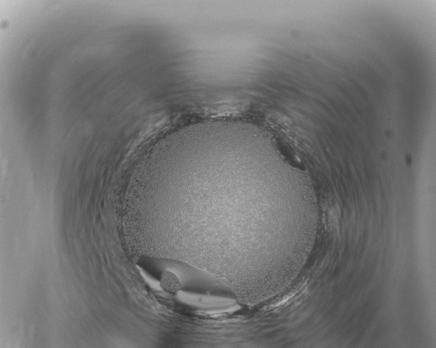 X0000060761393200511171136